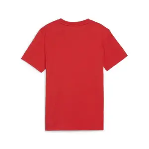 T-shirt enfant Puma teamGOAL Casuals image-1