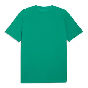 Maillot Puma TeamFinal image-1
