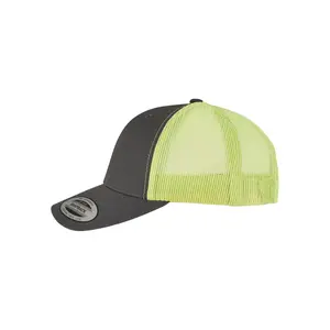 Cap Flexfit retro image-3