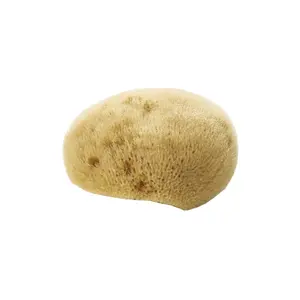 Přírodní jemná houba na obličej pro ženy Avril image-0