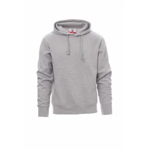 Sweatshirt à capuche Payperwear toronto image-0