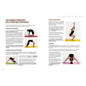 Livre l'encyclopédie du yoga postural Hachette image-2