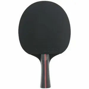 Racket Dunlop storm image-0