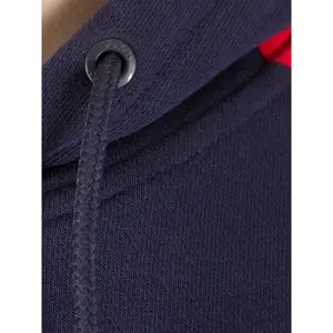 Sudadera Fila Stan Cut Sew Hood image-5