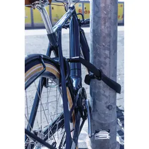 Κλειδαριά αλυσίδας Abus IvyTex ACH Ivy 6KS/100 image-1