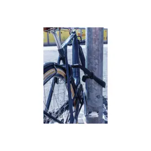 Κλειδαριά αλυσίδας Abus IvyTex ACH Ivy 8KS/100 image-3