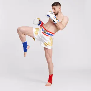 Thai boxing gloves Leone Style image-1