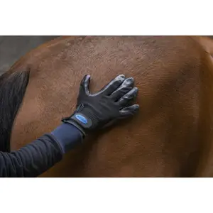Anti-shedding Grooming Glove Hippotonic image-2