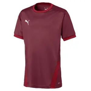 Camiseta niños Puma Team Goal 23 image-0