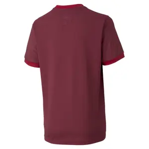Camiseta niños Puma Team Goal 23 image-1