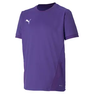 Camiseta niños Puma Team Goal 23 image-0