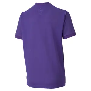 Camiseta niños Puma Team Goal 23 image-1