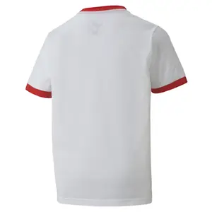 Camiseta niños Puma Team Goal 23 image-1