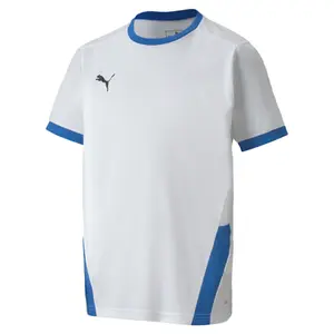 Kindertrikot Puma Team Goal 23 image-0