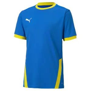 Kid's jersey Puma Team Goal 23 image-0