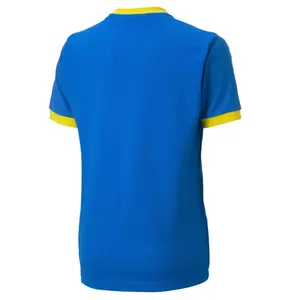 Kid's jersey Puma Team Goal 23 image-1