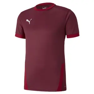 Camiseta Puma Team Goal 23 image-0