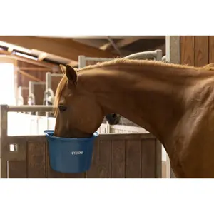 Alimentadores de porta hippotónicos image-3