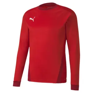 Long sleeve jersey Puma Team Goal 23 image-0