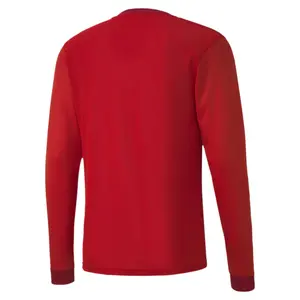 Long sleeve jersey Puma Team Goal 23 image-3