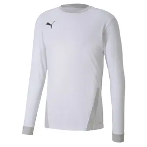 Camiseta mangas largas Puma Team Goal 23 image-0