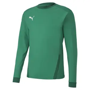 Camiseta mangas largas Puma Team Goal 23 image-0