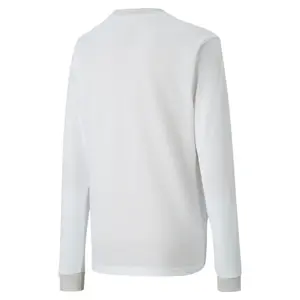 Camiseta mangas largas niños Puma Team Goal 23 Jersey image-1