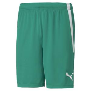 704924-05-shorts-puma-team-liga-tannengrun-weiss