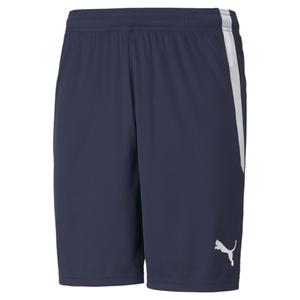 704924-06-shorts-puma-team-liga-marineblau-weiss