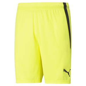 Short Puma teamLIGA