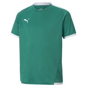 704925-05-kid-s-jersey-puma-team-liga-spruce-green-white