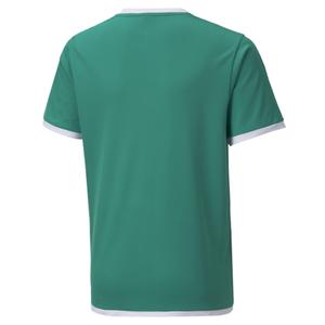 Koszulka dziecięca Puma Team Liga image-1