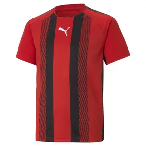 Kid's jersey Puma Team Liga Striped