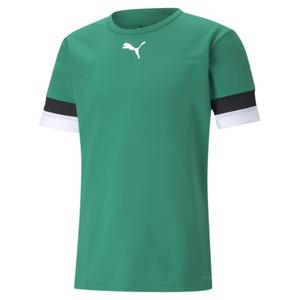 704932-05-jersey-puma-team-rise-fir-green-black-white