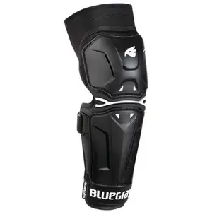 Coderas Bluegrass Big Horn P06 image-1