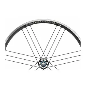 Left rear disc wheel spokes Campagnolo Zonda (x4) image-0