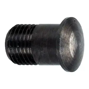 Magnetic insert for wheel nipples Campagnolo Eurus 2006 image-1