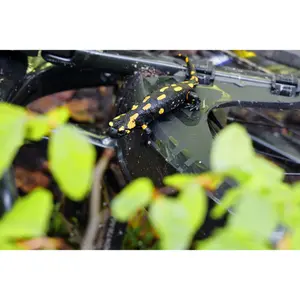 Parafanghi posteriori SKS Mudrocker image-4