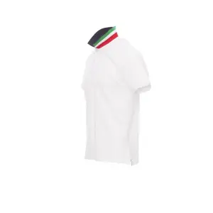 Polo de pago por nación image-5