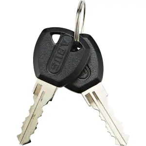 Κλειδαριά αλυσίδας Abus Steel-O-Chain 4804K/75 image-2