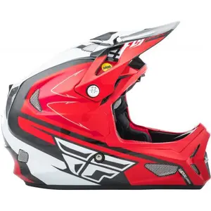 Headset Fly Racing Werx Mips Palmer Replica image-1