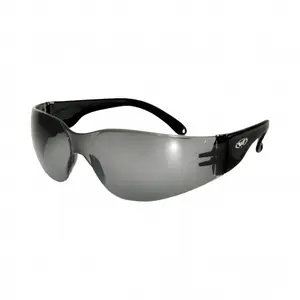 Sunglasses Global Vision rider image-0