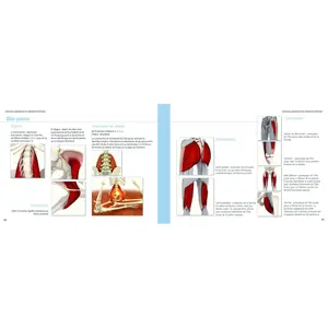 Libro anatomía-músculos del yoga Hachette image-2