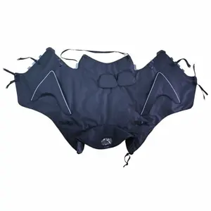 Tablier moto Bagster Boomerang Sym Gts 125/300 2013-2018 image-0