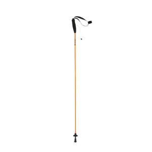 78153hcu-sticks-ferrino-eiger-125-cm-paire-goldene-tu