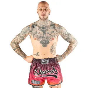 Thai boxing shorts 8 Weapons Vivo image-2