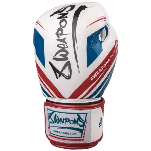 Thai boxing gloves 8 Weapons Shift image-1
