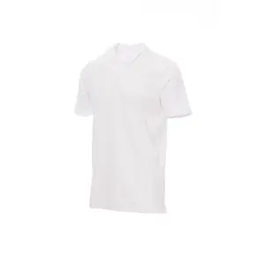 Polo payper rome image-2
