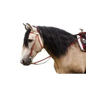 802061017-trans-for-ridning-randol-s-two-tone-hasselnot-naturell-hast