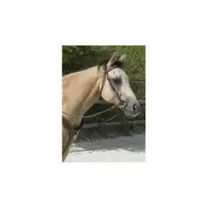 802062318-trans-for-ridning-westride-franck-perret-colorado-choklad-hast